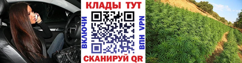 Как найти наркотики Городец МАРИХУАНА  МЕФ  НБОМе  Альфа ПВП  ГАШ  Кокаин 
