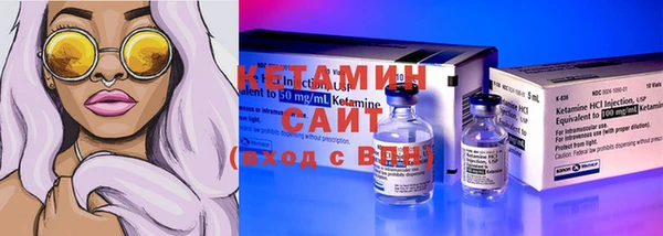 амф Гусев