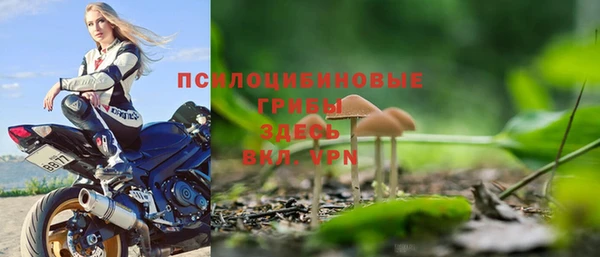 COCAINE Гусиноозёрск