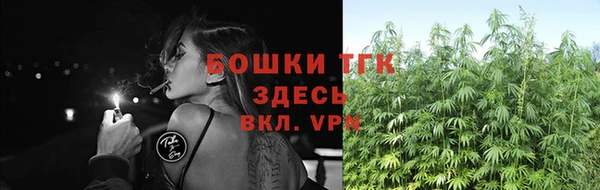 амф Гусев