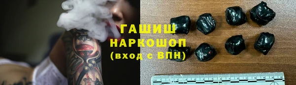 амф Гусев
