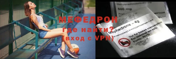амф Гусев