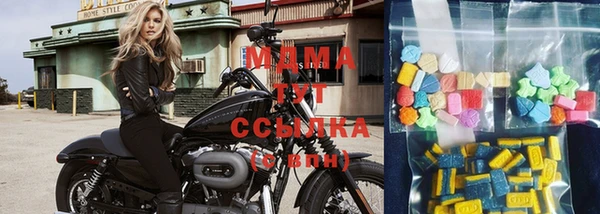 амф Гусев