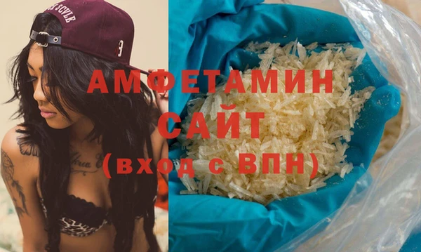 амф Гусев