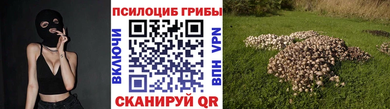 Псилоцибиновые грибы мухоморы  Городец 